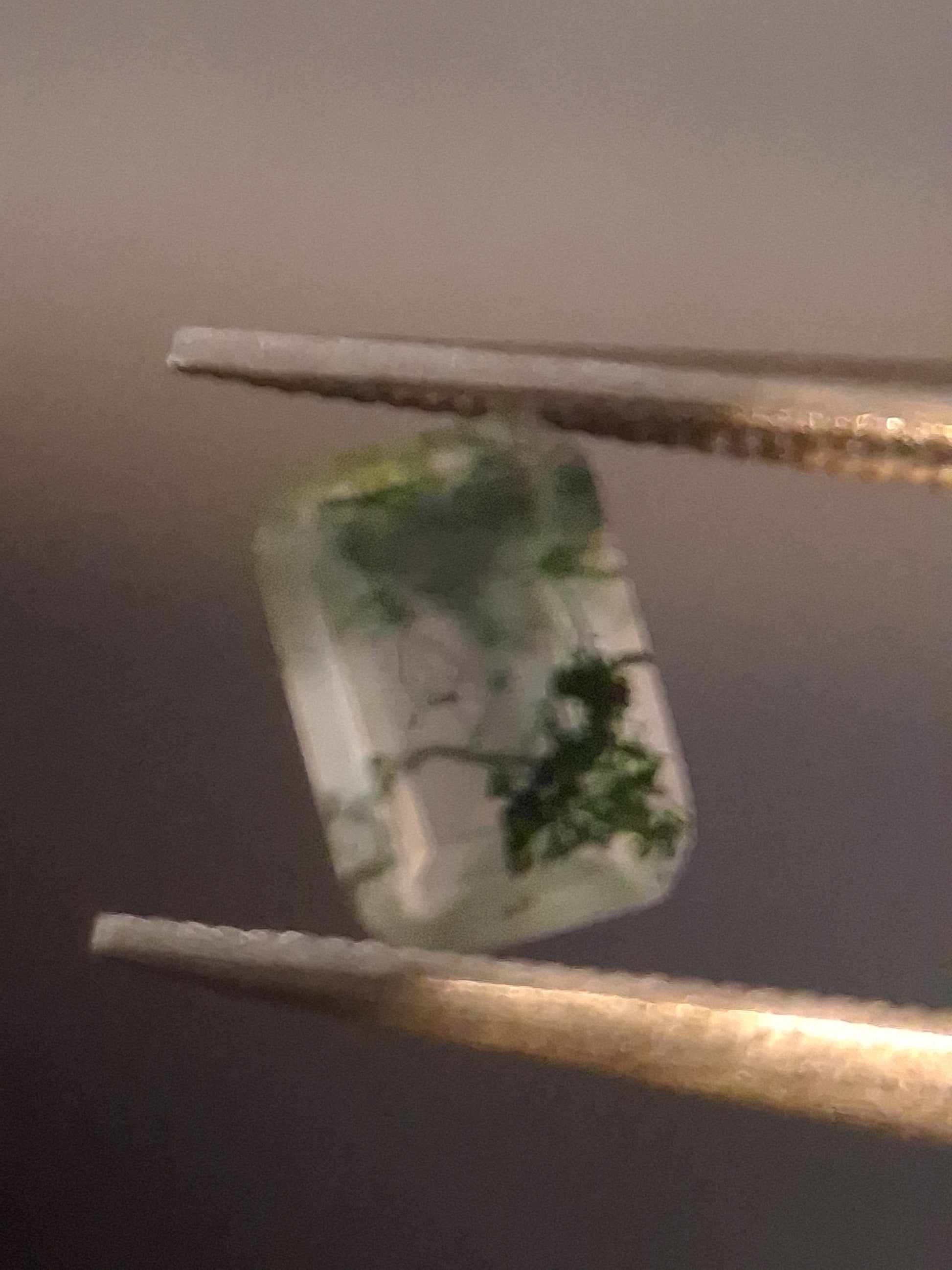 Natural Faceted Agate - Green Moss Agate - 0.478 ct - octagon - Natural Gems Belgium