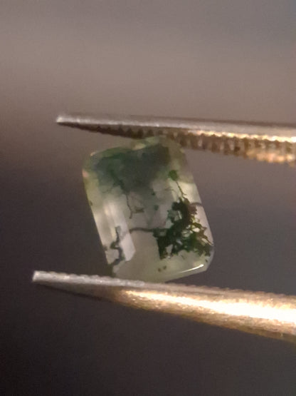 Natural Faceted Agate - Green Moss Agate - 0.478 ct - octagon - Natural Gems Belgium