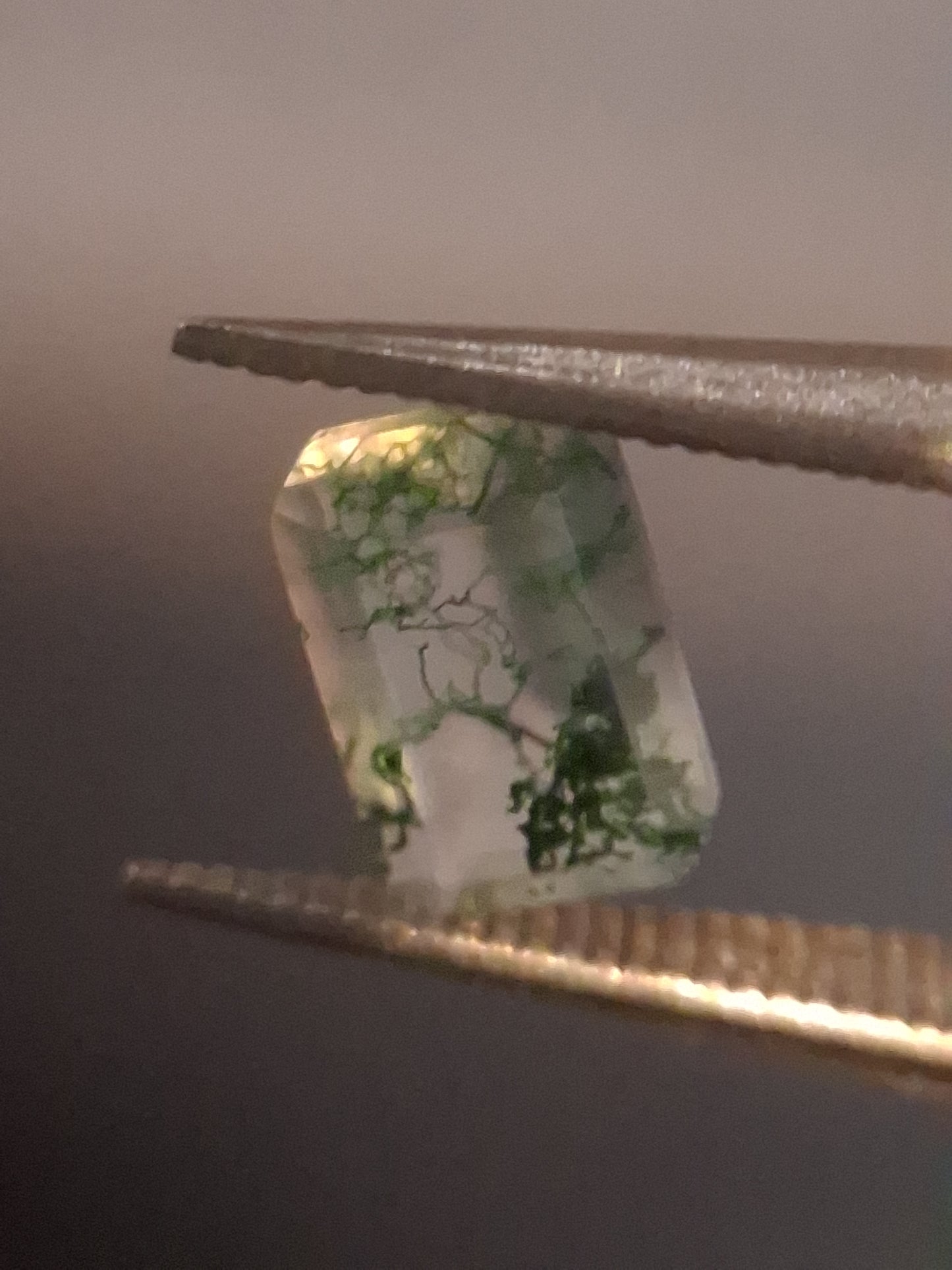 Natural Faceted Agate - Green Moss Agate - 0.478 ct - octagon - Natural Gems Belgium