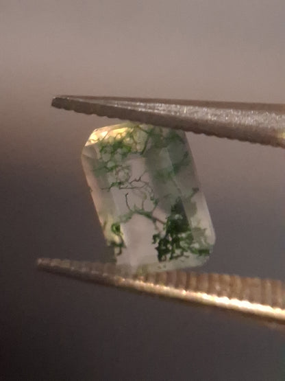 Natural Faceted Agate - Green Moss Agate - 0.478 ct - octagon - Natural Gems Belgium