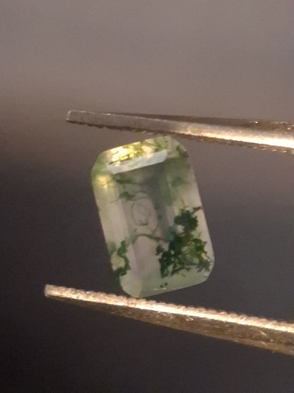 Natural Faceted Agate - Green Moss Agate - 0.478 ct - octagon - Natural Gems Belgium