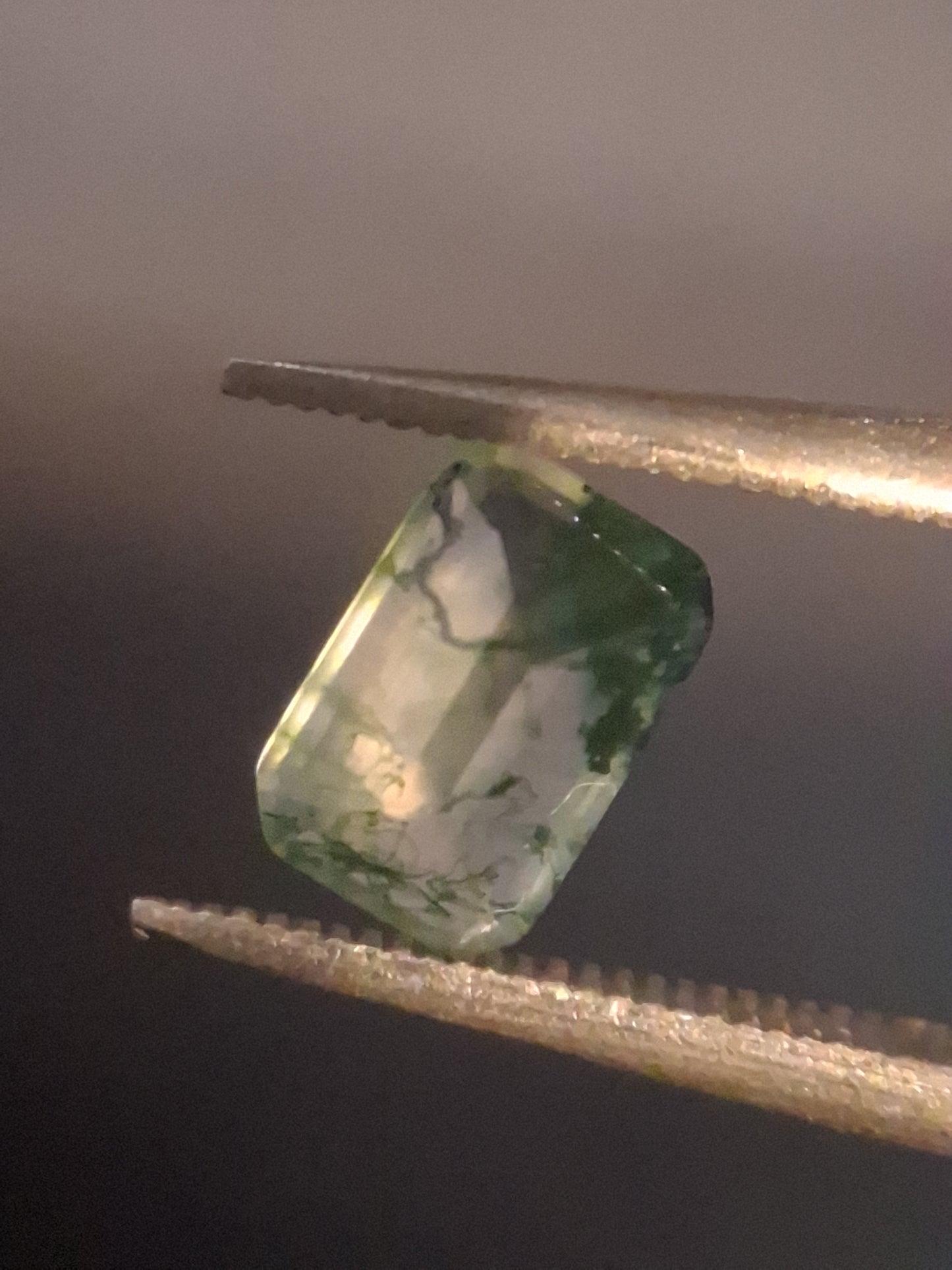 Natural Faceted Agate - Green Moss Agate - 0.478 ct - octagon - Natural Gems Belgium