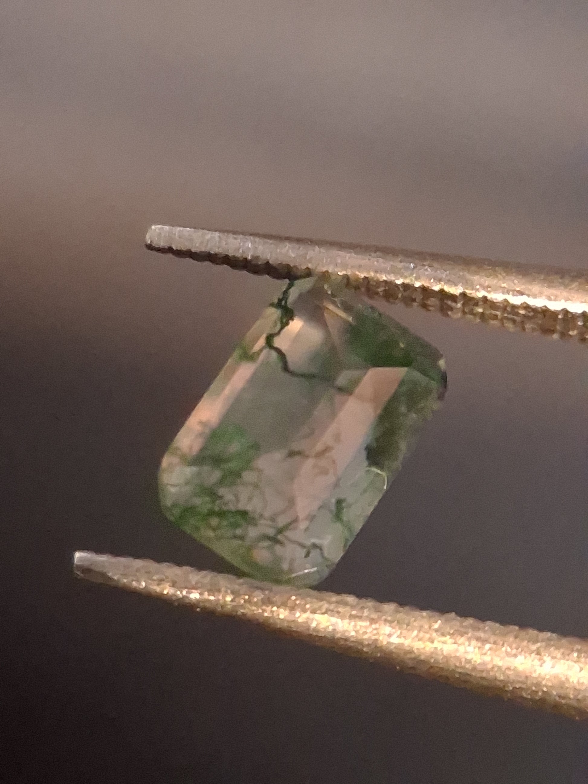 Natural Faceted Agate - Green Moss Agate - 0.478 ct - octagon - Natural Gems Belgium