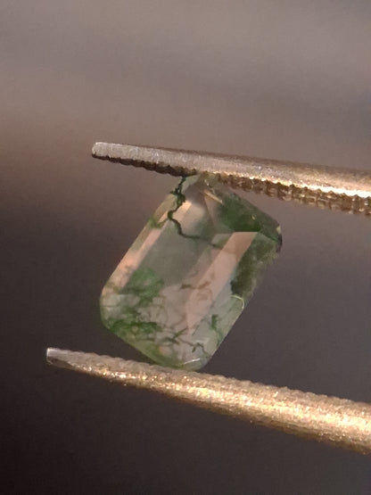 Natural Faceted Agate - Green Moss Agate - 0.478 ct - octagon - Natural Gems Belgium