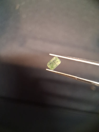 Natural Faceted Agate - Green Moss Agate - 0.479 ct - octagon - Natural Gems Belgium