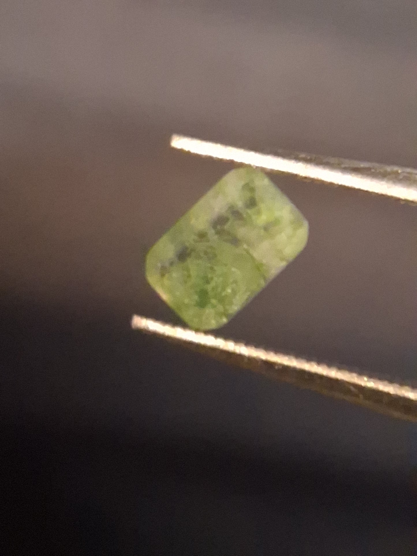 Natural Faceted Agate - Green Moss Agate - 0.479 ct - octagon - Natural Gems Belgium