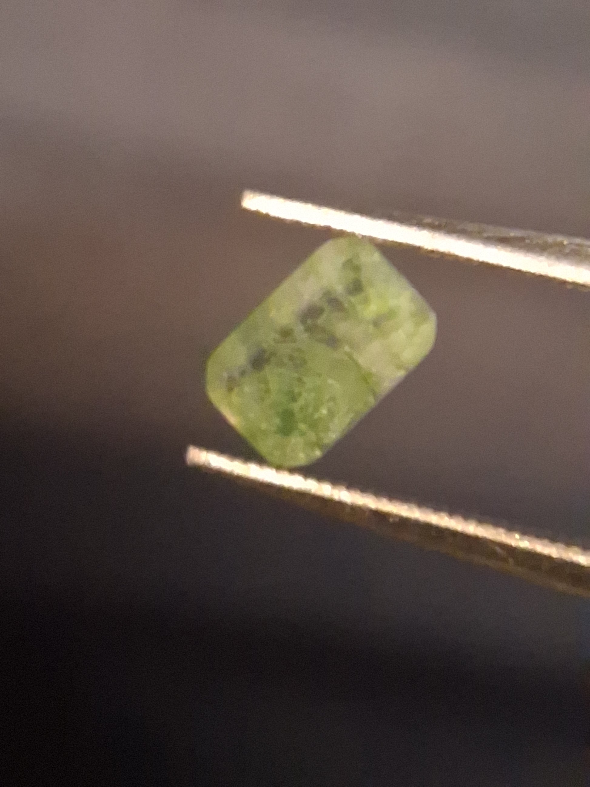 Natural Faceted Agate - Green Moss Agate - 0.479 ct - octagon - Natural Gems Belgium