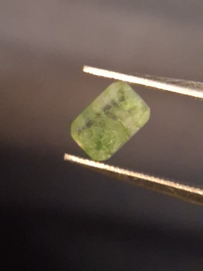 Natural Faceted Agate - Green Moss Agate - 0.479 ct - octagon - Natural Gems Belgium