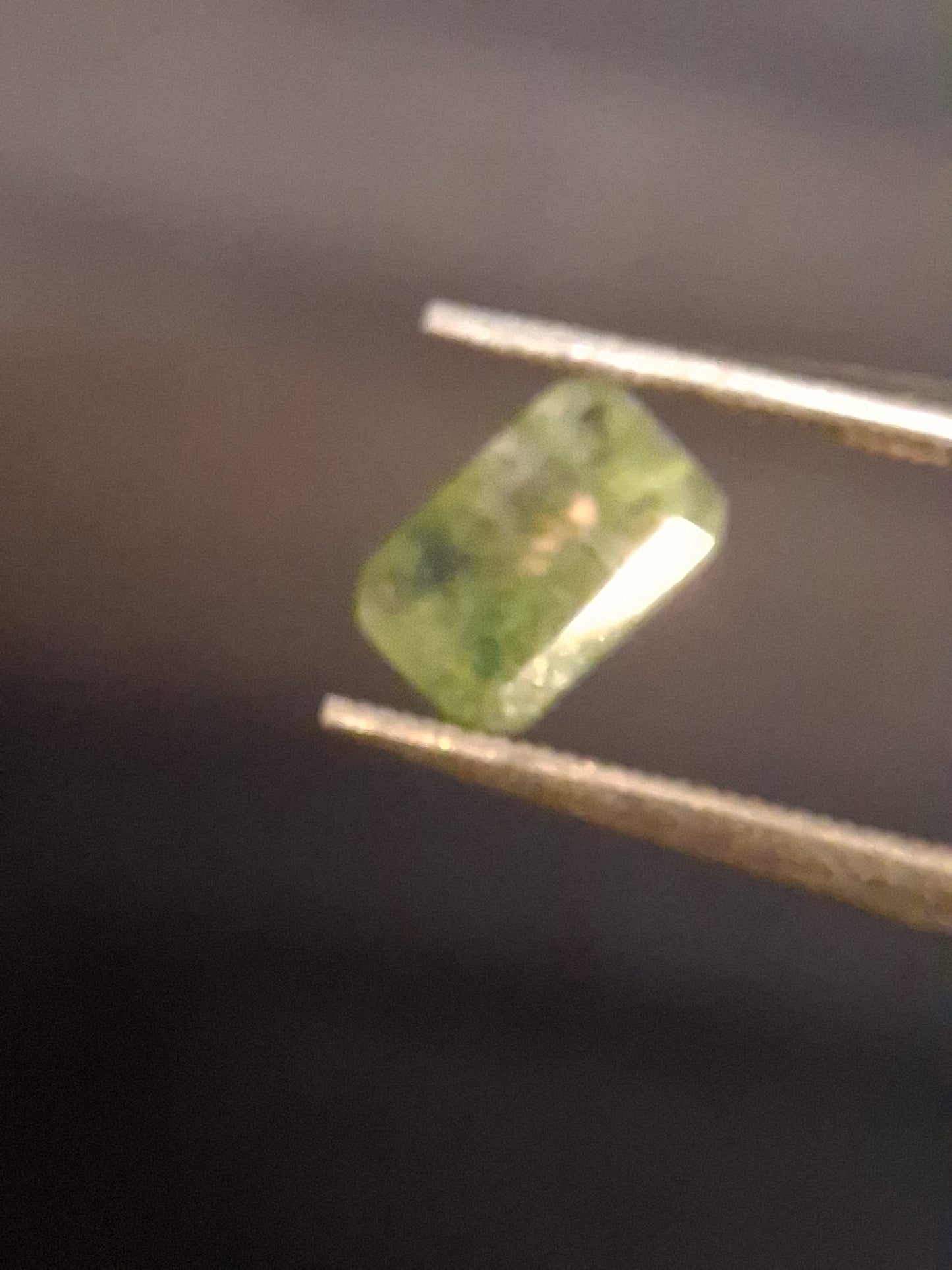 Natural Faceted Agate - Green Moss Agate - 0.479 ct - octagon - Natural Gems Belgium