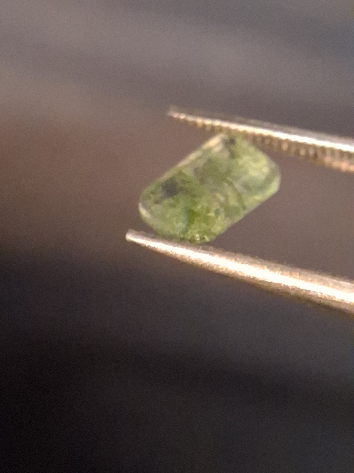 Natural Faceted Agate - Green Moss Agate - 0.479 ct - octagon - Natural Gems Belgium