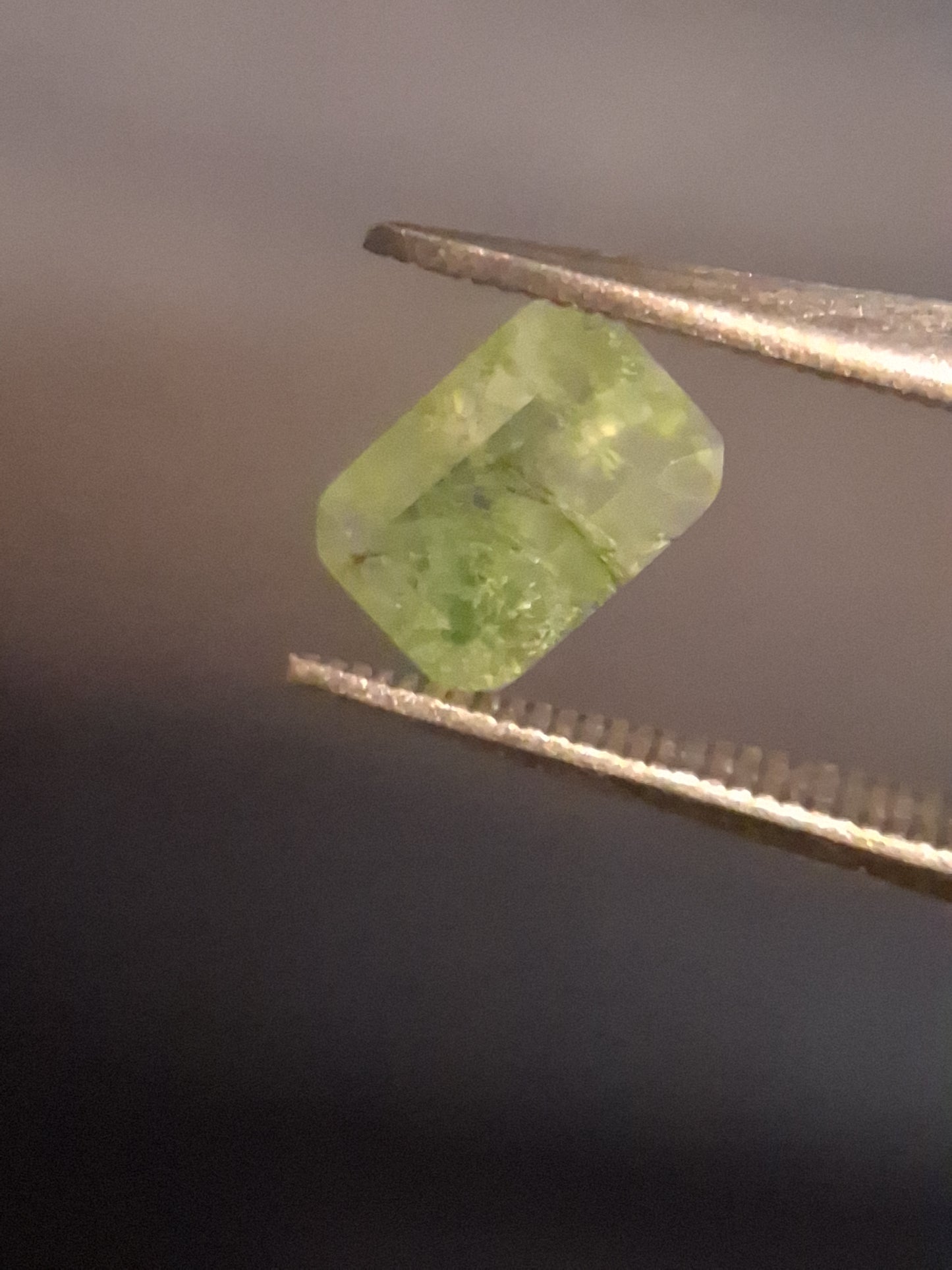 Natural Faceted Agate - Green Moss Agate - 0.479 ct - octagon - Natural Gems Belgium