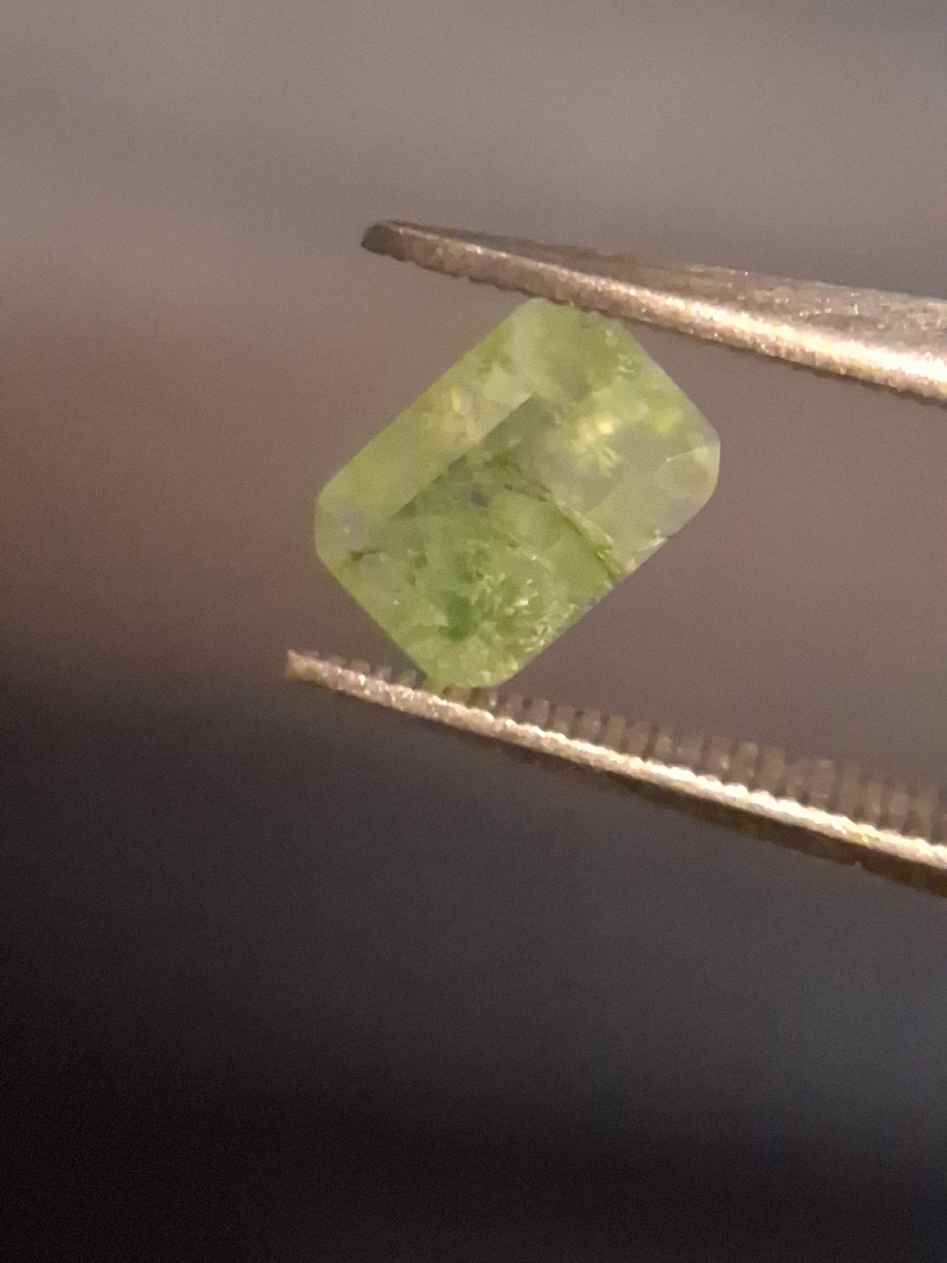 Natural Faceted Agate - Green Moss Agate - 0.479 ct - octagon - Natural Gems Belgium