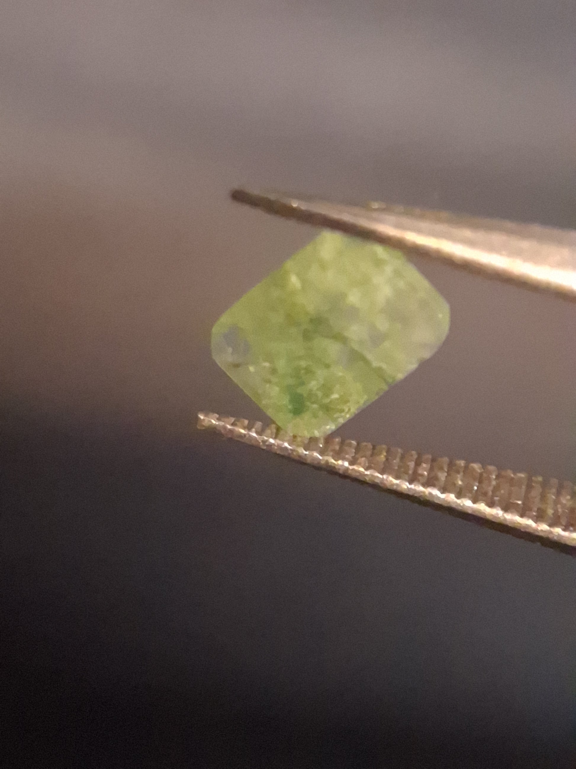 Natural Faceted Agate - Green Moss Agate - 0.479 ct - octagon - Natural Gems Belgium