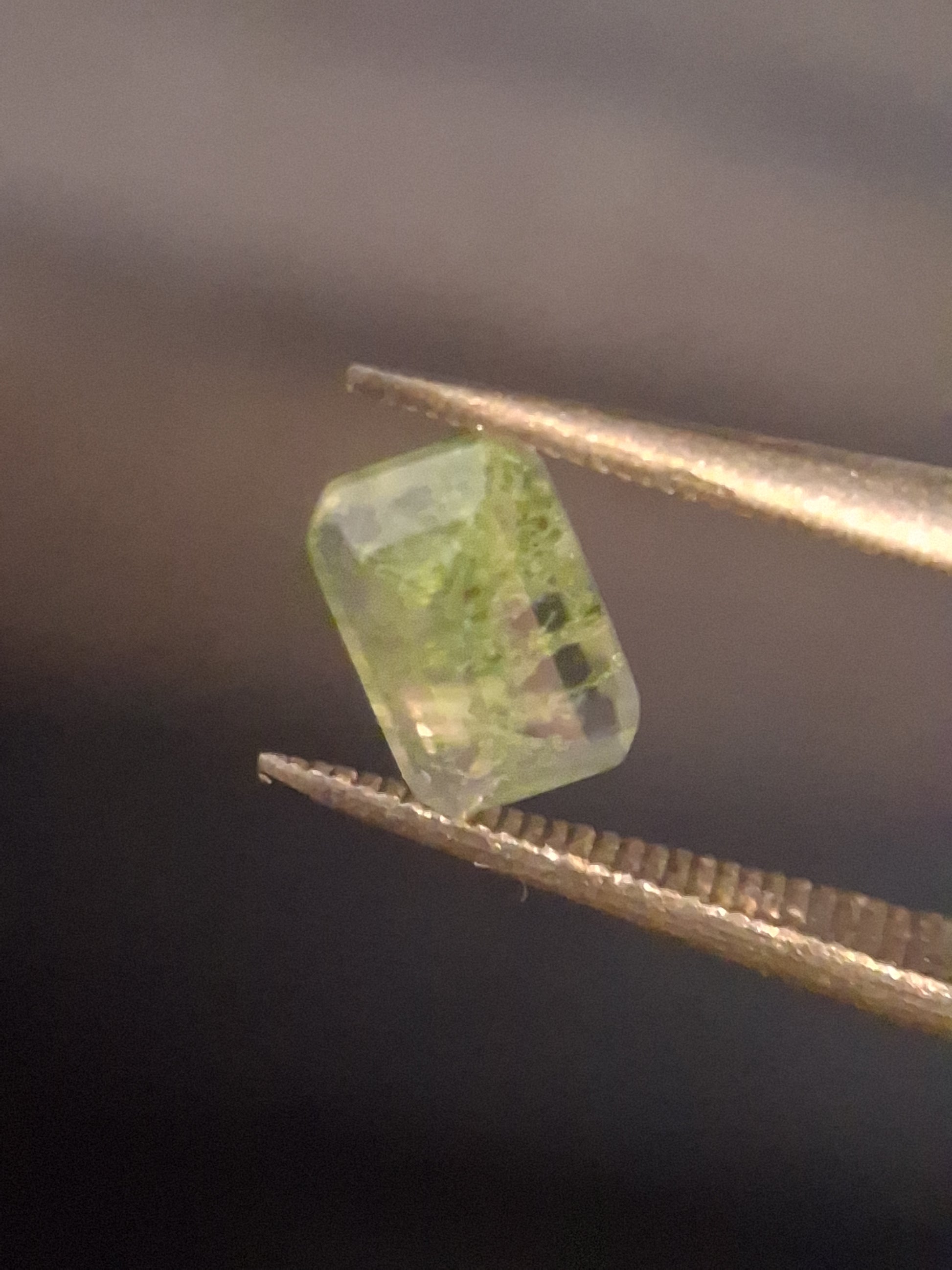 Natural Faceted Agate - Green Moss Agate - 0.479 ct - octagon - Natural Gems Belgium