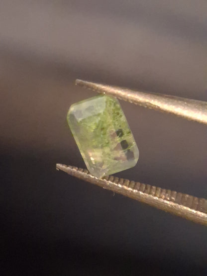 Natural Faceted Agate - Green Moss Agate - 0.479 ct - octagon - Natural Gems Belgium