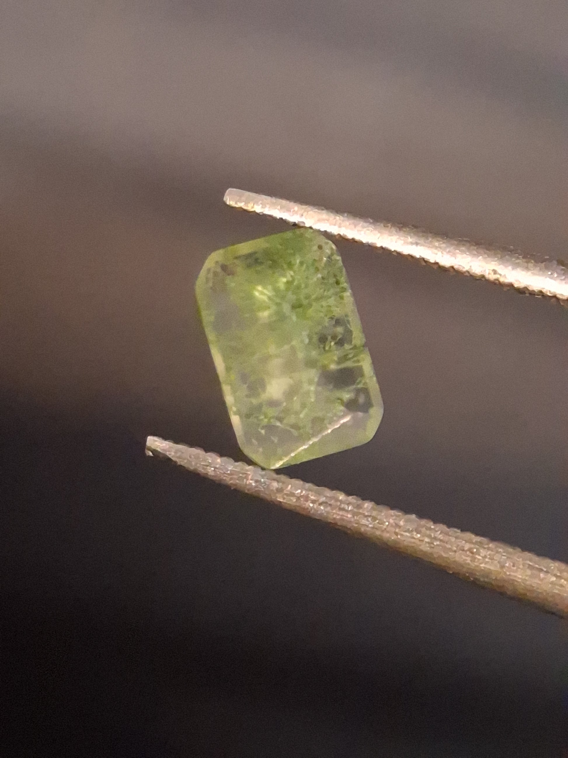 Natural Faceted Agate - Green Moss Agate - 0.479 ct - octagon - Natural Gems Belgium