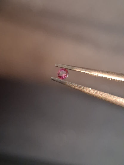 Natural Pink Sapphire - 0.043 ct -2mm Round cut - unheated - Africa - high quality - Natural Gems Belgium
