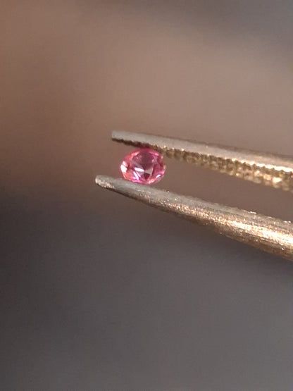 Natural Pink Sapphire - 0.043 ct -2mm Round cut - unheated - Africa - high quality - Natural Gems Belgium
