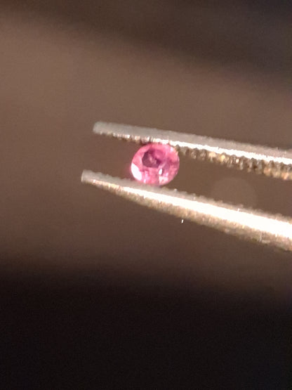 Natural Pink Sapphire - 0.052 ct -2 mm Round cut - unheated - Africa - high quality - Natural Gems Belgium