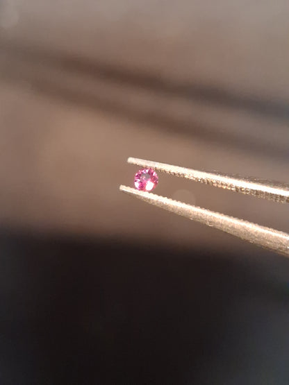 Natural Pink Sapphire - 0.044 ct -2 mm Round cut - unheated - Africa - excellent - Natural Gems Belgium