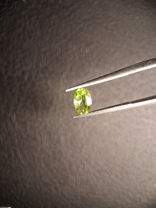 Natural Peridot - 0.599 ct - oval - unheated- green peridot - Natural Gems Belgium