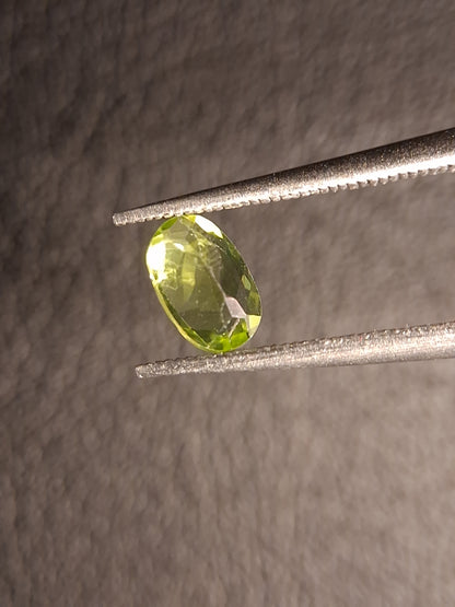 Natural Peridot - 0.516 ct - oval - unheated- green peridot - Natural Gems Belgium