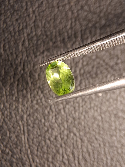 Natural Peridot - 0.544 ct - oval - unheated- green peridot - Natural Gems Belgium