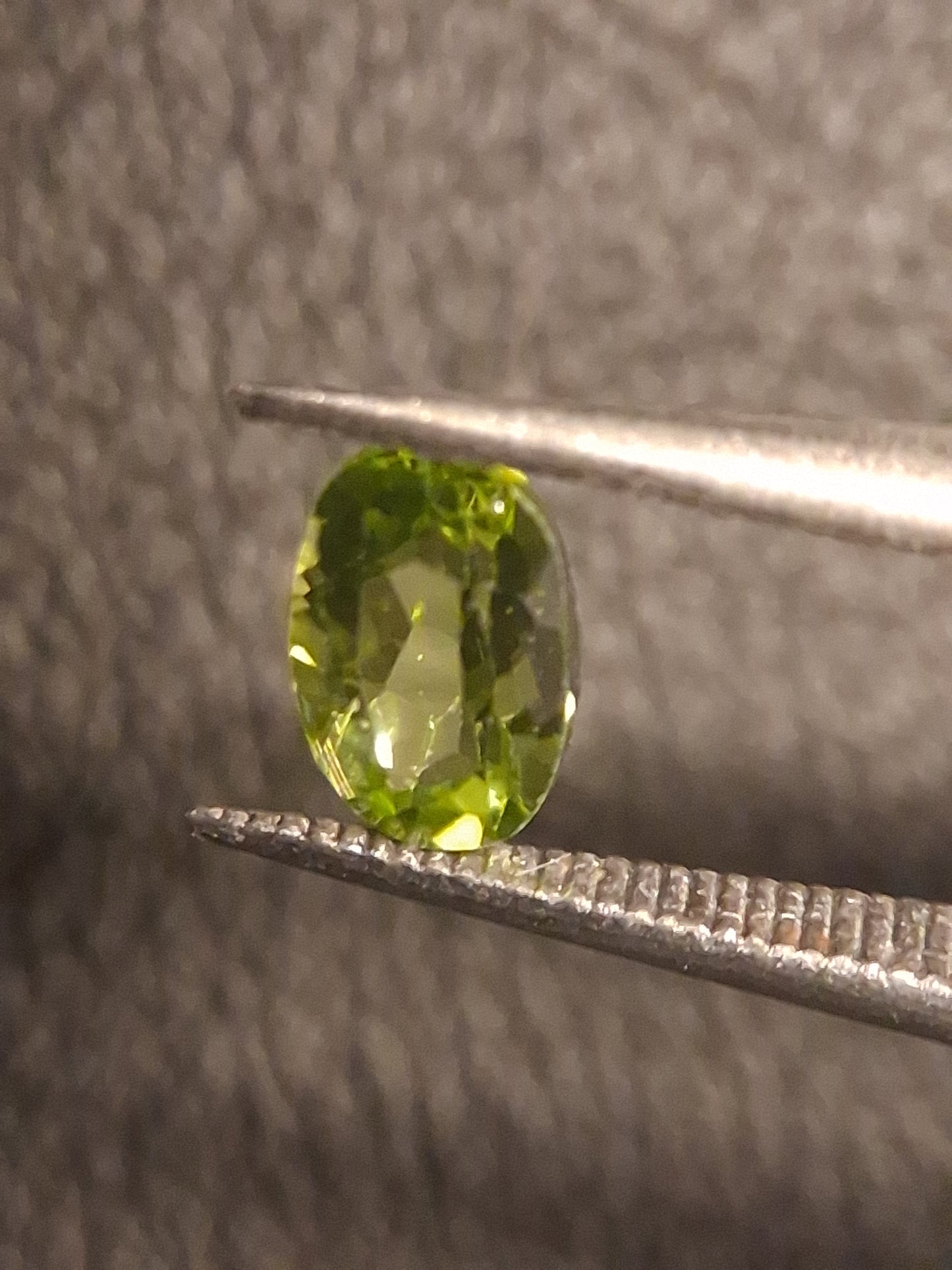 Natural Peridot - 0.496 ct - oval - unheated- green peridot - Natural Gems Belgium