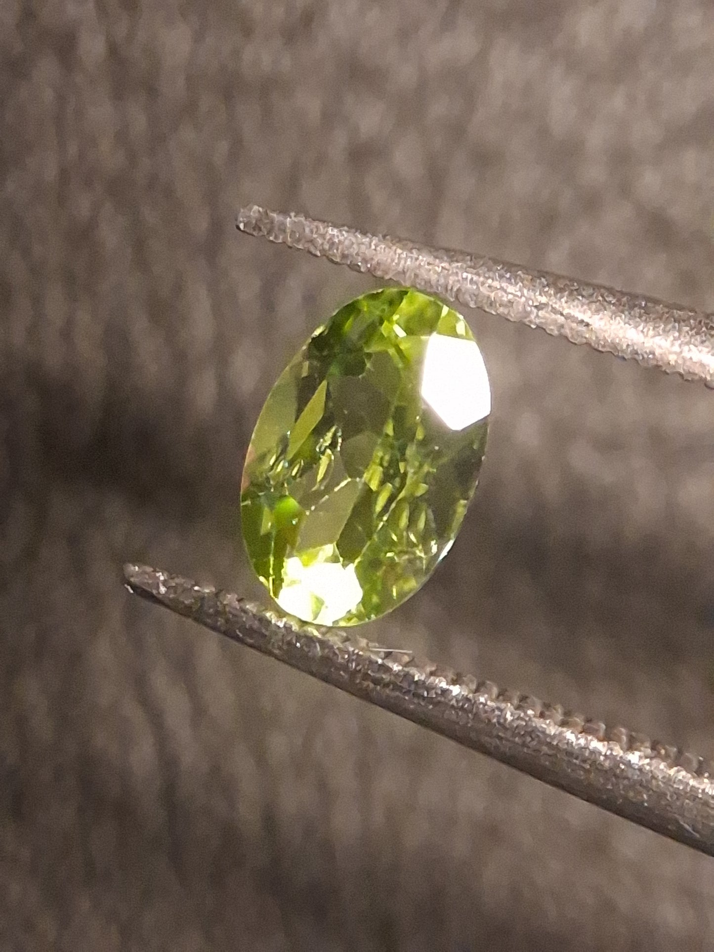 Natural Peridot - 0.525 ct - oval - unheated- green peridot - Natural Gems Belgium
