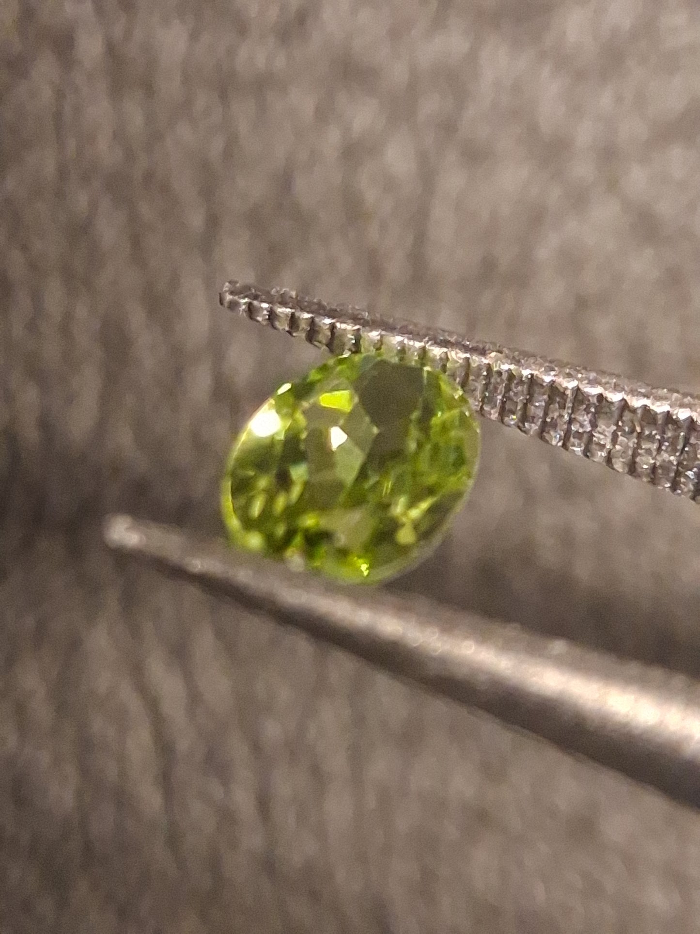 Natural Peridot - 0.525 ct - oval - unheated- green peridot - Natural Gems Belgium