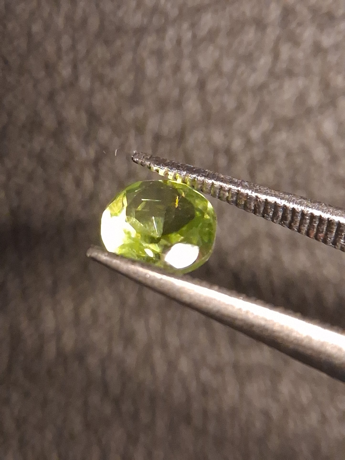 Natural Peridot - 0.499 ct - round - unheated- green peridot - Natural Gems Belgium