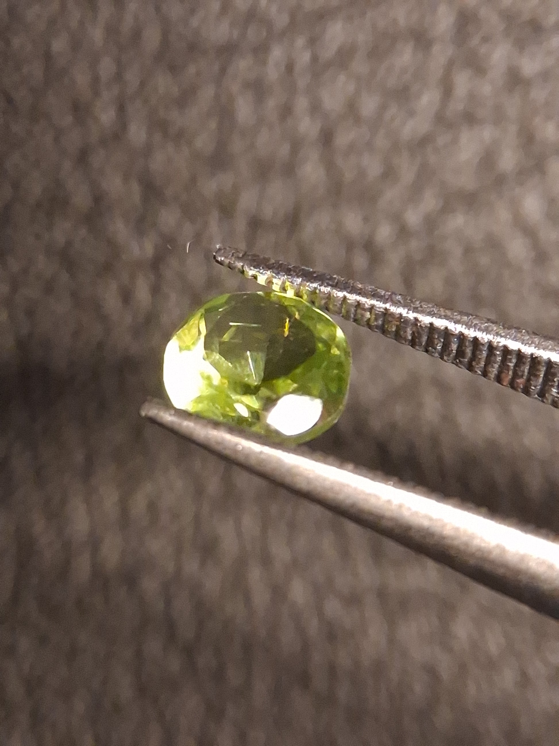 Natural Peridot - 0.499 ct - round - unheated- green peridot - Natural Gems Belgium