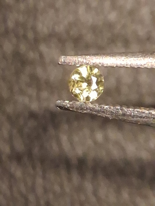 Natural Tourmaline - Green - 2 mm - 0.025 ct - round - excellent - unheated - Natural Gems Belgium