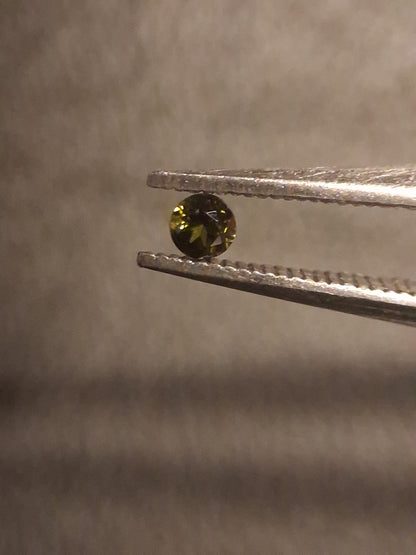 Natural Tourmaline - Green - 2 mm - 0.029 ct - round - excellent - unheated - Natural Gems Belgium