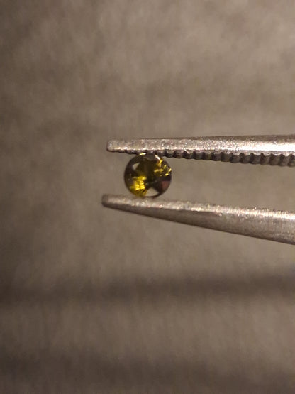 Natural Tourmaline - Green - 2 mm - 0.029 ct - round - excellent - unheated - Natural Gems Belgium