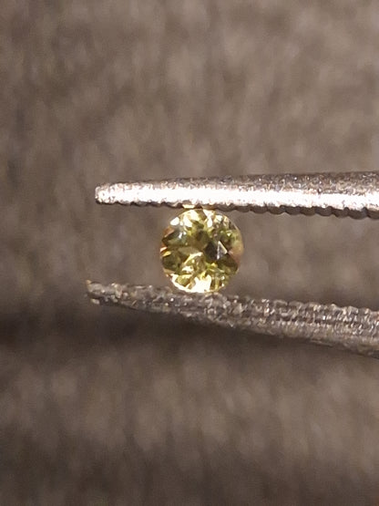 Natural Tourmaline - Yellowish Green - 2 mm - 0.030 ct - round - unheated - Natural Gems Belgium