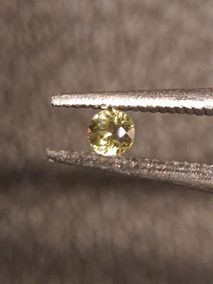 Natural Tourmaline - Yellowish Green - 2 mm - 0.030 ct - round - unheated - Natural Gems Belgium