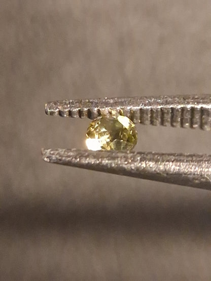 Natural Tourmaline - Yellowish Green - 2 mm - 0.030 ct - round - unheated - Natural Gems Belgium