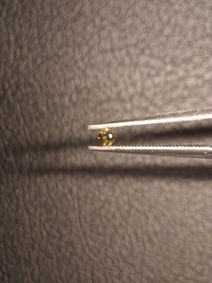 Natural Tourmaline - Yellowish Green - 2 mm - 0.031 ct - round - unheated - Natural Gems Belgium