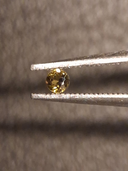 Natural Tourmaline - Yellowish Green - 2 mm - 0.031 ct - round - unheated - Natural Gems Belgium
