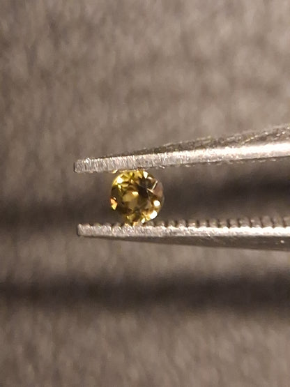 Natural Tourmaline - Yellowish Green - 2 mm - 0.031 ct - round - unheated - Natural Gems Belgium