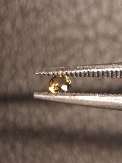 Natural Tourmaline - Yellowish Green - 2 mm - 0.031 ct - round - unheated - Natural Gems Belgium