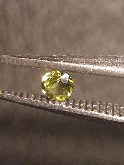 Natural Tourmaline - Bright Yellowish Green - 2 mm - 0.031 ct - round - unheated - Natural Gems Belgium