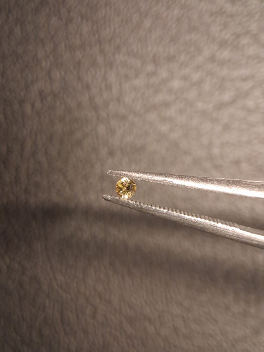 Natural Tourmaline - greenish brownish yellow - 2 mm - 0.031 ct - round - unheated - Natural Gems Belgium