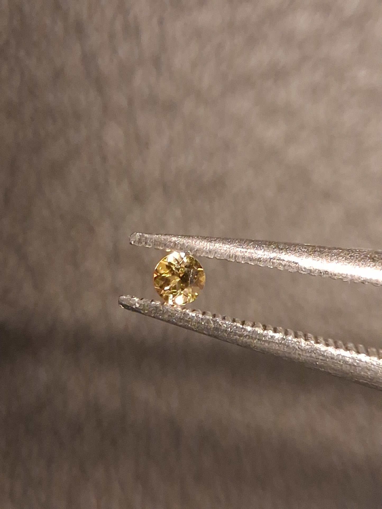 Natural Tourmaline - greenish brownish yellow - 2 mm - 0.031 ct - round - unheated - Natural Gems Belgium