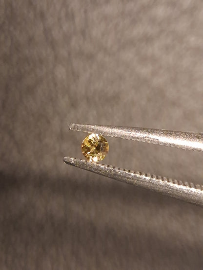 Natural Tourmaline - greenish brownish yellow - 2 mm - 0.031 ct - round - unheated - Natural Gems Belgium