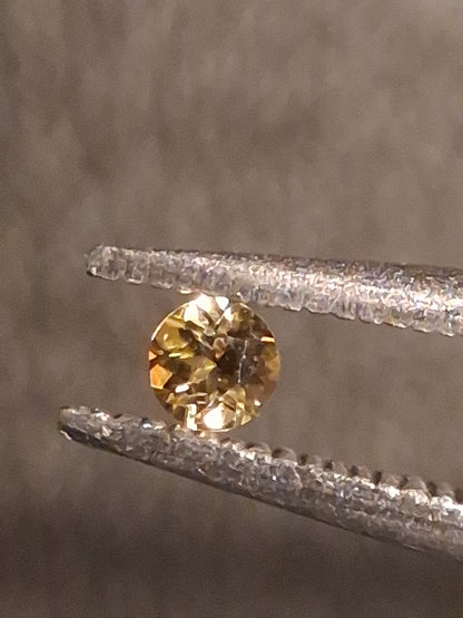 Natural Tourmaline - greenish brownish yellow - 2 mm - 0.031 ct - round - unheated - Natural Gems Belgium
