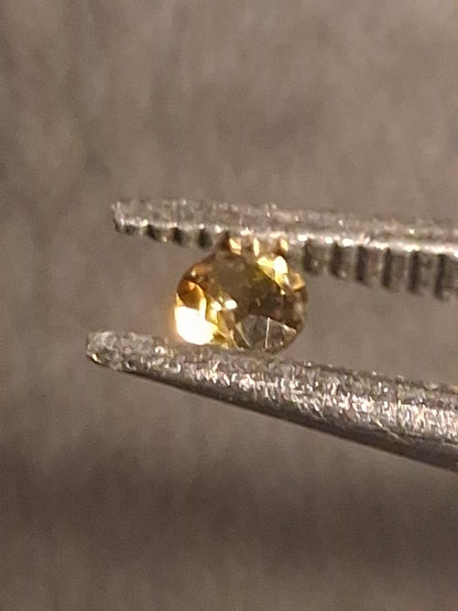 Natural Tourmaline - greenish brownish yellow - 2 mm - 0.031 ct - round - unheated - Natural Gems Belgium
