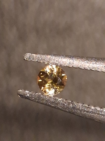 Natural Tourmaline - greenish brownish yellow - 2 mm - 0.031 ct - round - unheated - Natural Gems Belgium