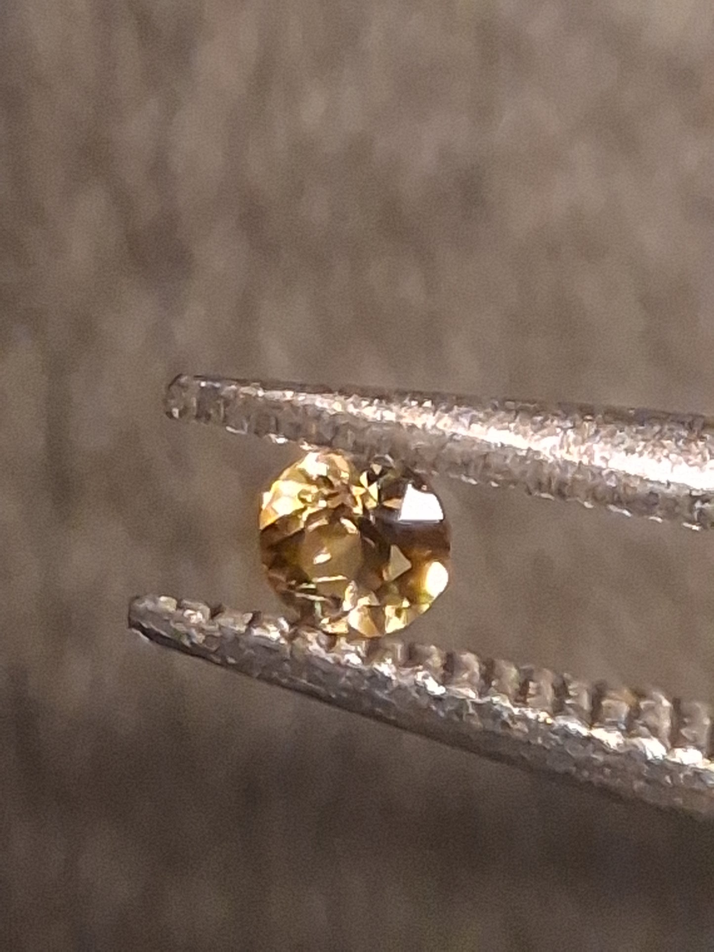 Natural Tourmaline - greenish brownish yellow - 2 mm - 0.031 ct - round - unheated - Natural Gems Belgium